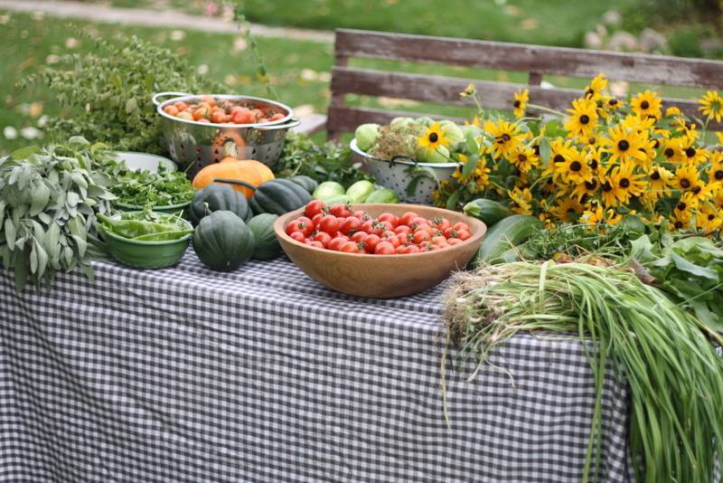 1384233 10153318891930230 1431326790 n