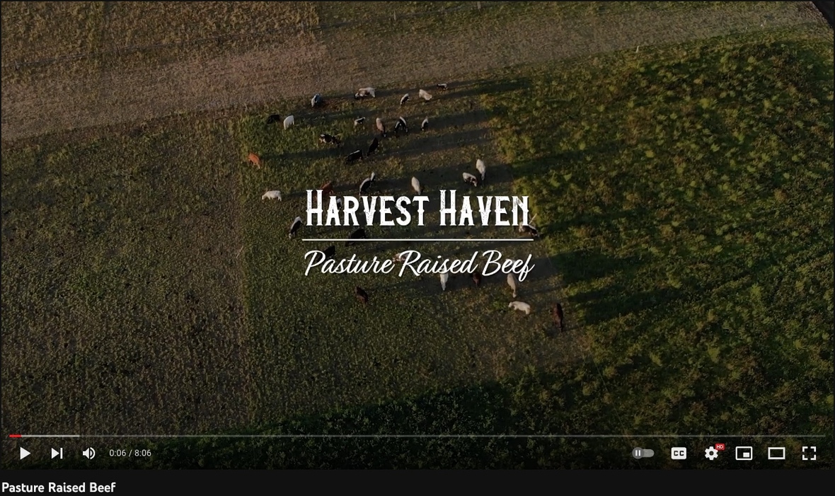 1C6FC61D-2C5B-48E2-8AB1-BD36A988FEE1