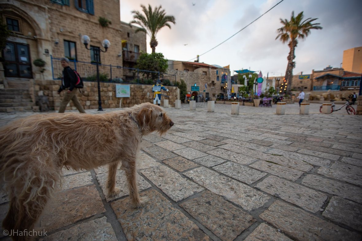 58902230 2858084994231562 2521804311432790016 o