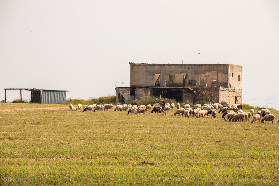 59347659 2858084850898243 5832207954631196672 o