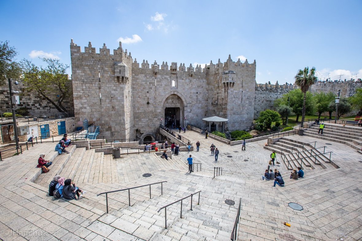 59548007 2858085264231535 5683616908121735168 o