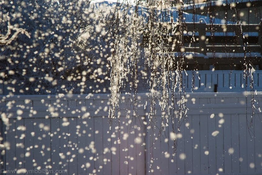 Frosty Lethbridge-52