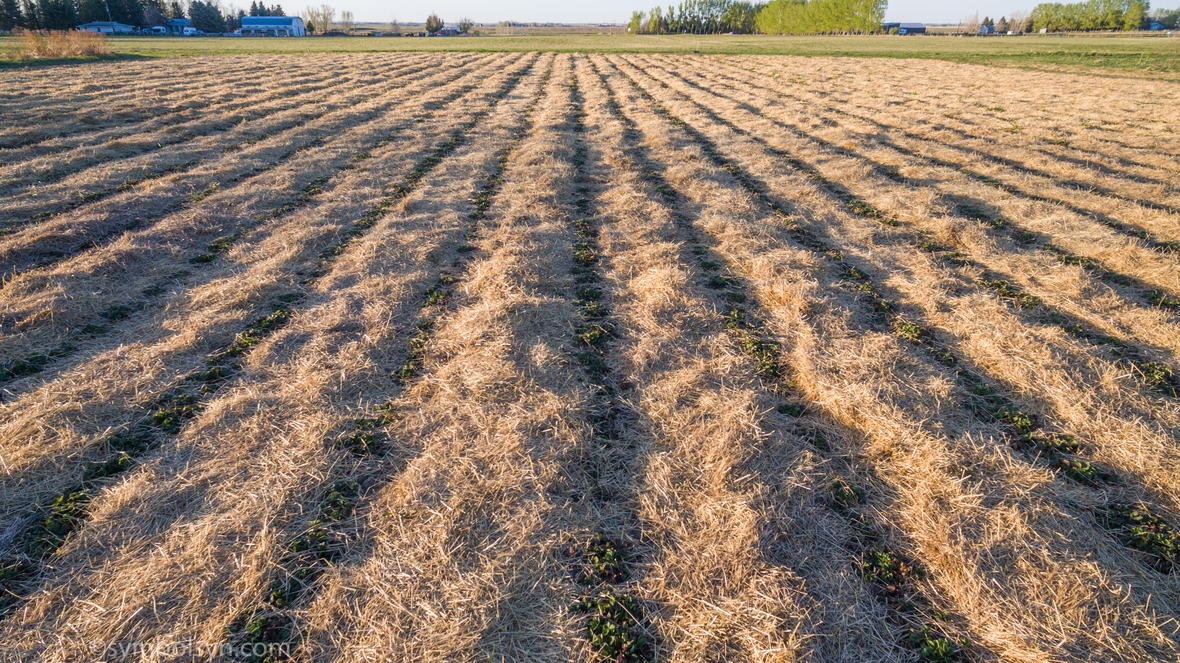 Harvest Haven Aerials-10  1 