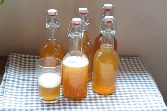 Kombucha