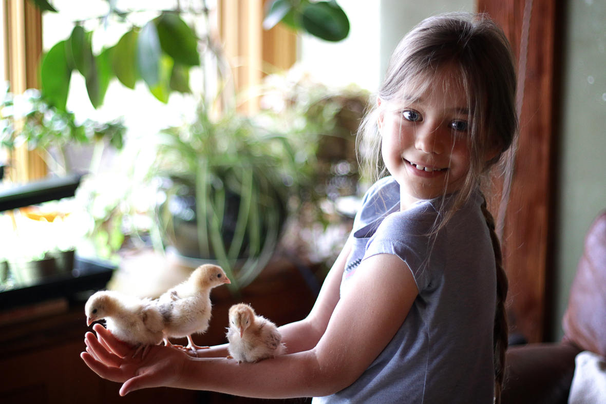 Marseilles and her chicks