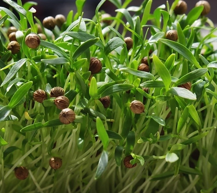 UNADJUSTEDNONRAW thumb 2b0